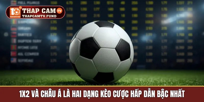 1X2 và châu á là hai dạng kèo cược hấp dẫn bậc nhất