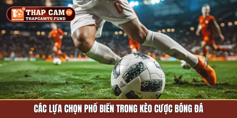 Các lựa chọn phổ biến trong kèo cược bóng đá