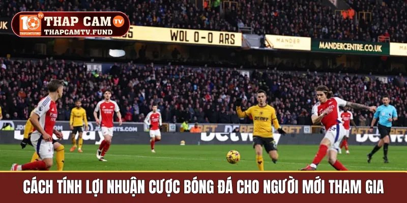Cách tính lợi nhuận cược bóng đá cho người mới tham gia