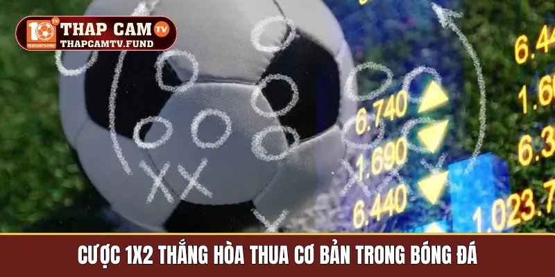 Cược 1x2 thắng hòa thua cơ bản trong bóng đá