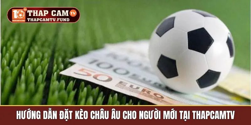 Hướng dẫn đặt kèo Châu Âu cho người mới tại Thapcamtv