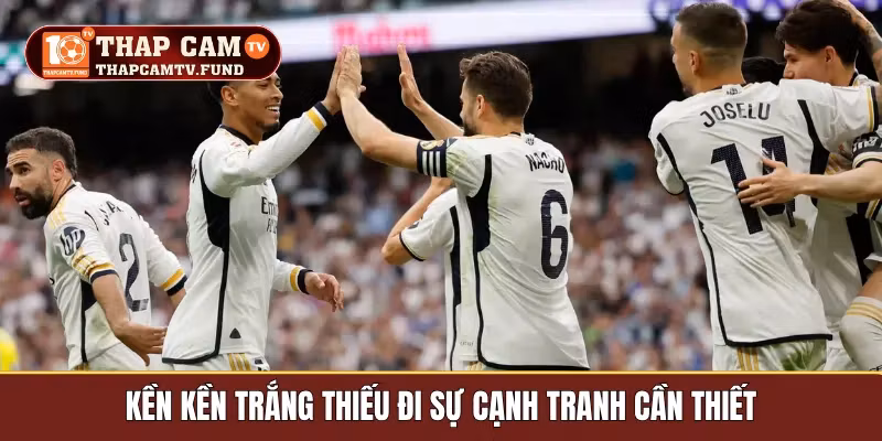 Kền kền trắng thiếu đi sự cạnh tranh cần thiết