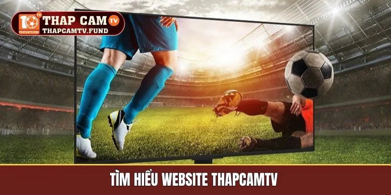 Tìm hiểu website Thapcamtv 