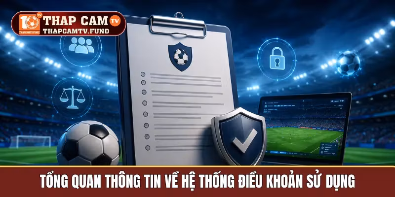 Tổng quan thông tin về hệ thống điều khoản sử dụng