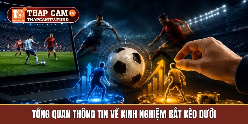 Tổng quan thông tin về kinh nghiệm bắt kèo dưới